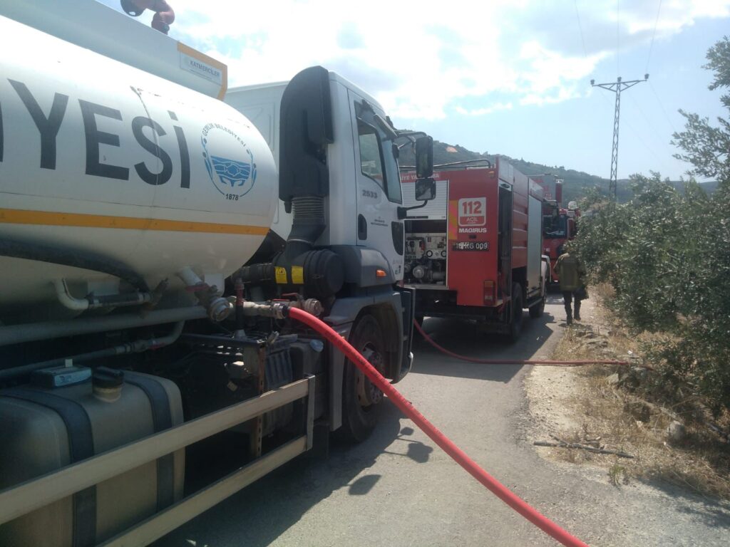 Erken müdahale orman yangınını önledi