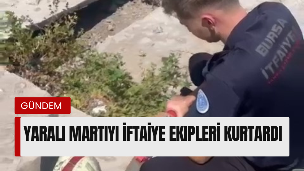 Yaralı martıyı iftaiye ekipleri kurtardı
