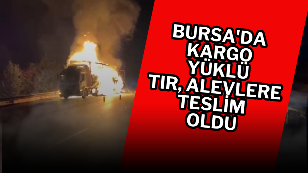 Bursa’da kargo yüklü tır, alevlere teslim oldu