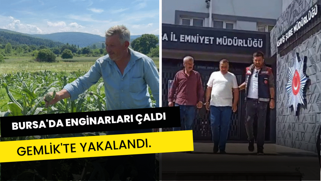 Bursa’da enginarları çaldı Gemlik’te yakalandı.