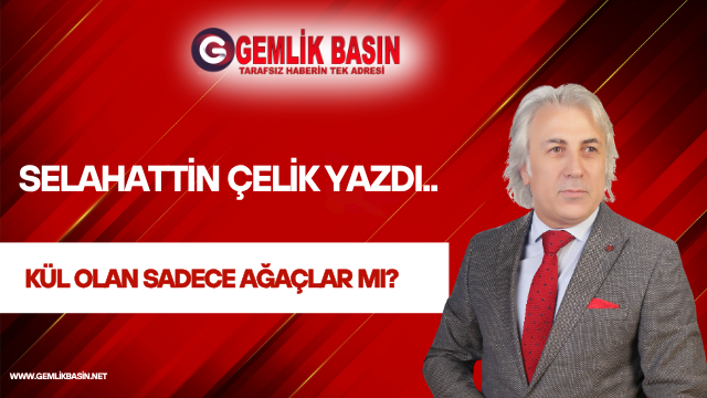 KÜL OLAN SADECE AĞAÇLAR MI?