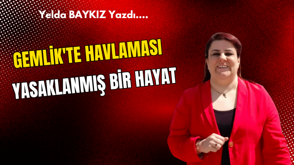 Gemlik’te Havlaması Yasaklanmış Bir Hayat