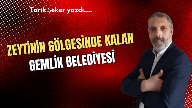 Zeytinin Gölgesinde Kalan Gemlik Belediyesi