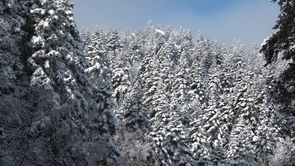 Kar yağışının olmadığı Uludağ’da sis görüş mesafesini 5 metreye kadar düşürdü