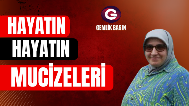 Hayatın Küçük Mucizeleri