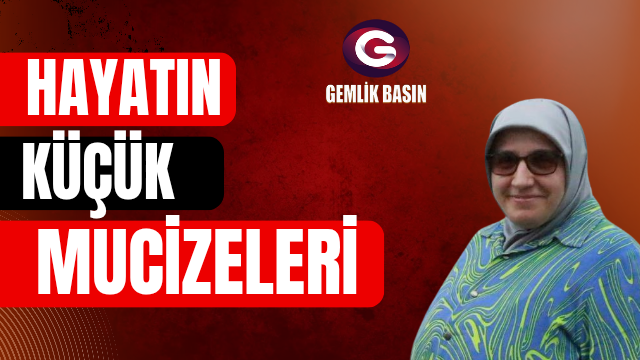 Hayatın Küçük Mucizeleri