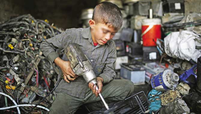 Gelecek Meslekteyse, Geçmişin Emeği Güvencede Olmalı!