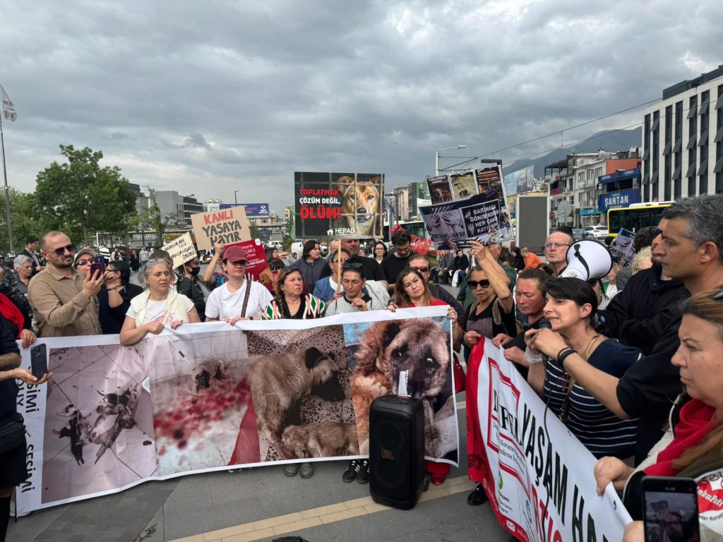 Bursa’da İl Hayvanları Koruma Kurulu Kararlarına Protesto