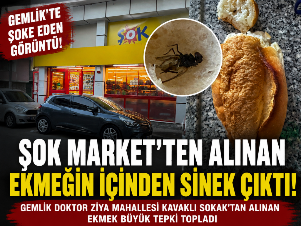 ŞOK Market’ten Alınan Ekmeğin İçinden Sinek Çıktığı İddiası