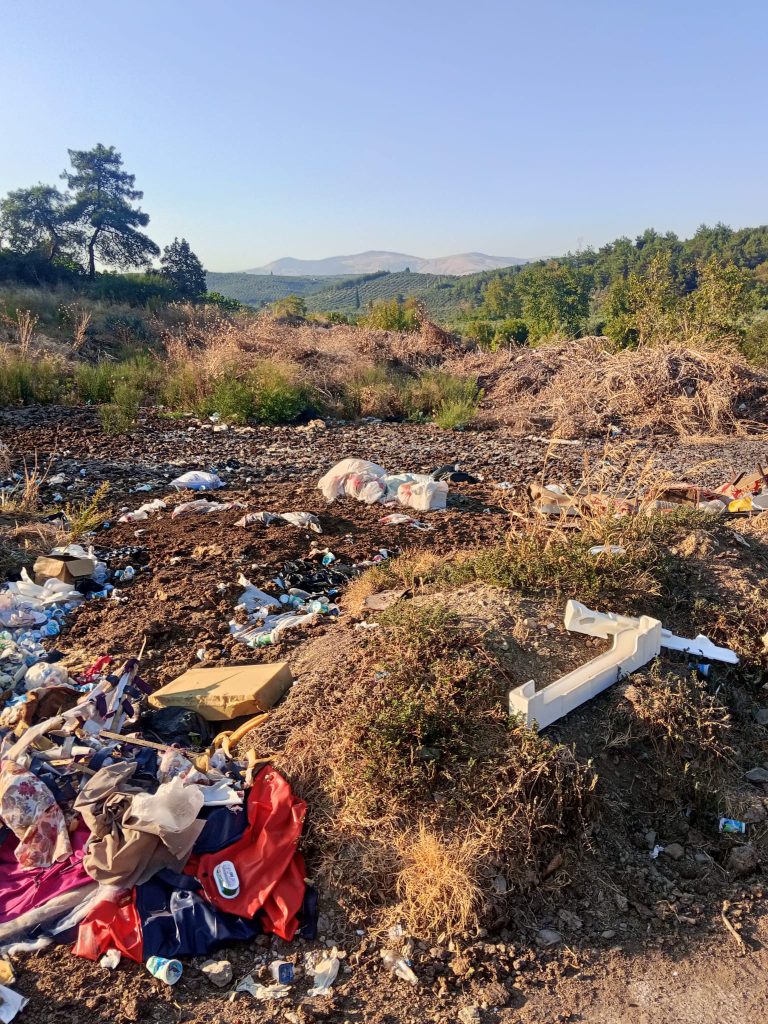MHP Gemlik İlçe Başkanlığı’ndan Hayvan Pazarı Tepkisi: “Ayıptır, Yazıktır, Günahtır!”