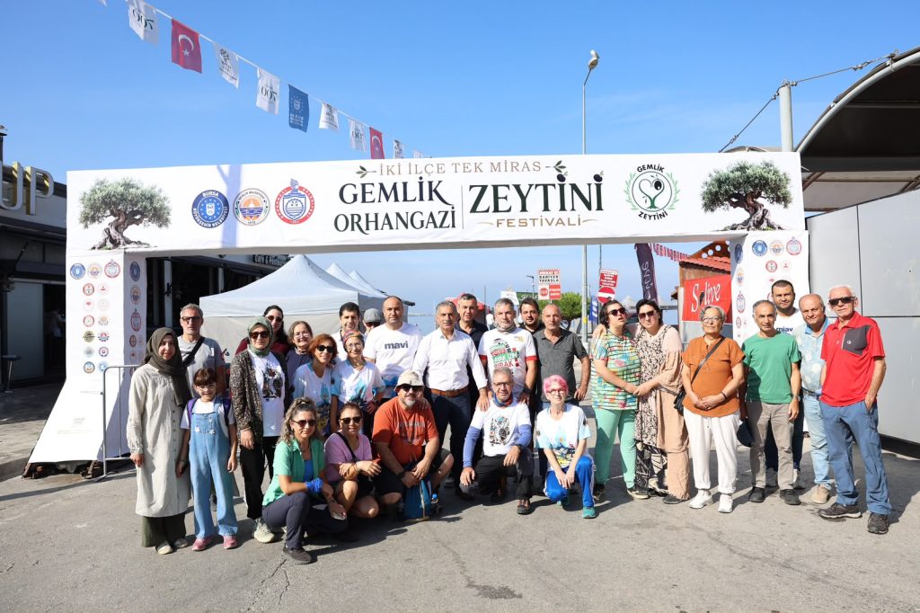 Gemlik’te Zeytin Ağacı 1500 Yıldır Meyve Veriyor