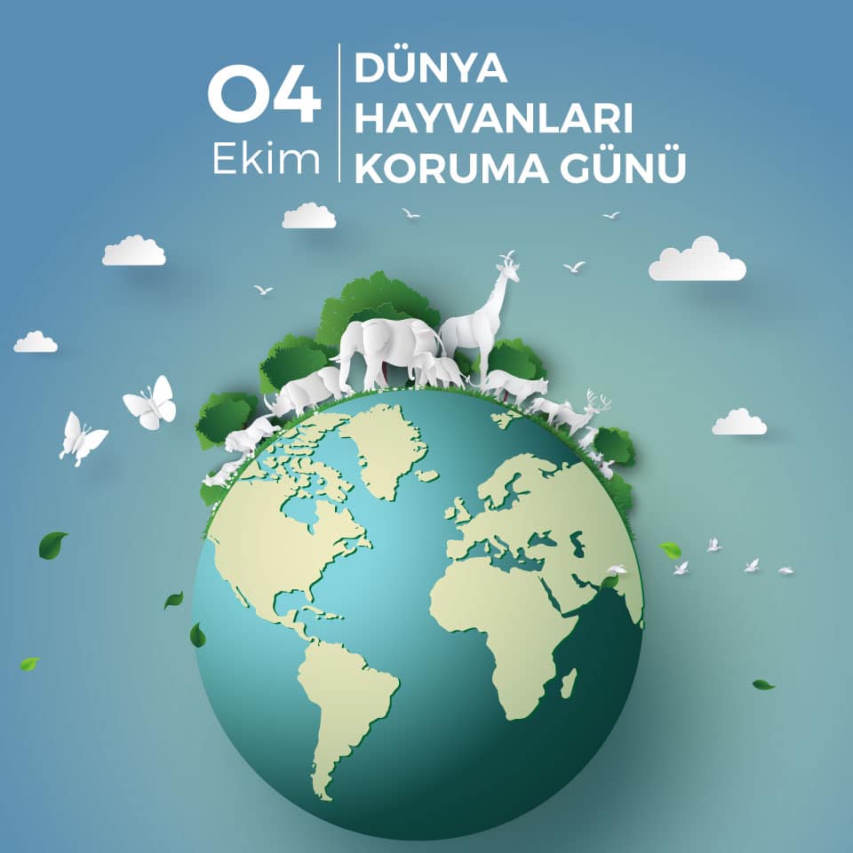 Kazım Gezer’den 4 Ekim Hayvanları Koruma Günü’nde belediyelere eleştiri